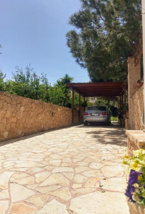 Mediterranean Garden Villa Vathí Exteriér fotografie