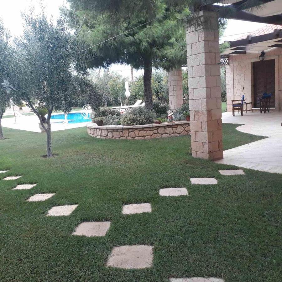 Mediterranean Garden Villa Vathí Exteriér fotografie